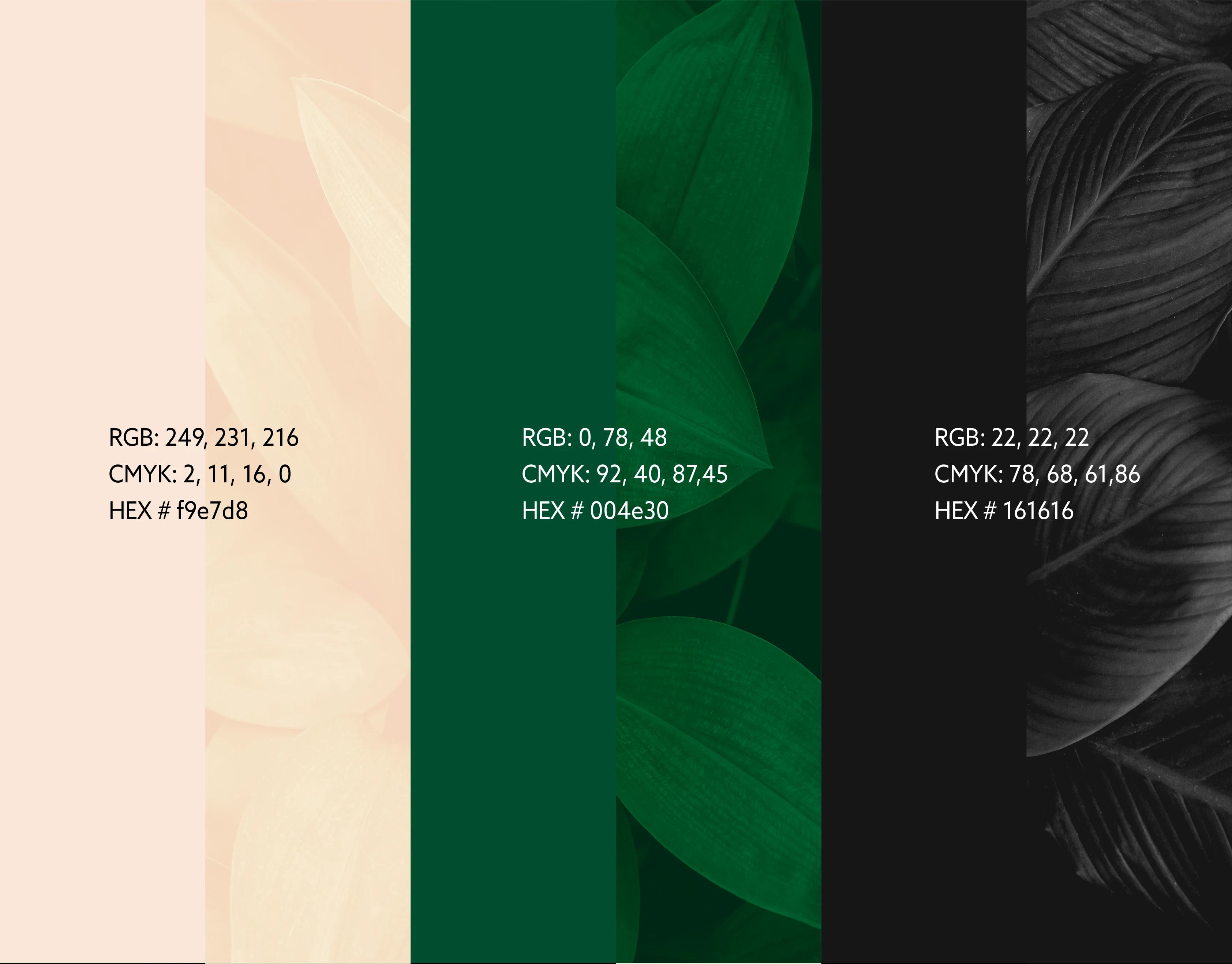 Botāne Plant-Based Luxury Perfume & Visual Identity thumbnail 4